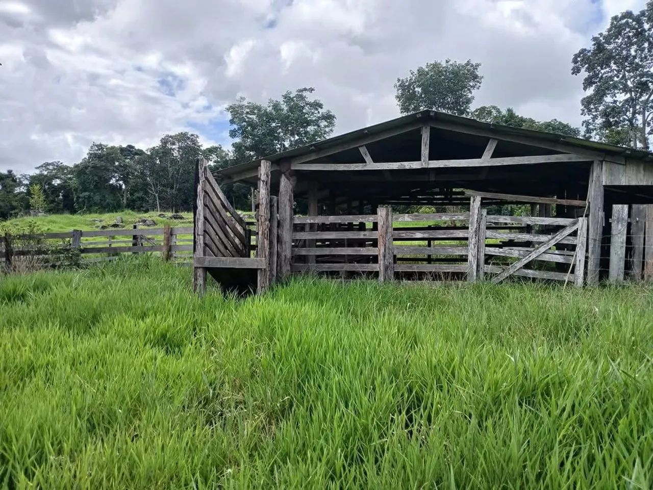 Oportunidade - chácara a venda  - Foto 2