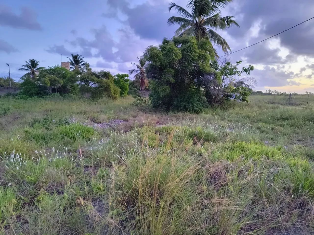 Loteamento quitado - Porto de Galinhas - Oportunidade!! - Foto 2