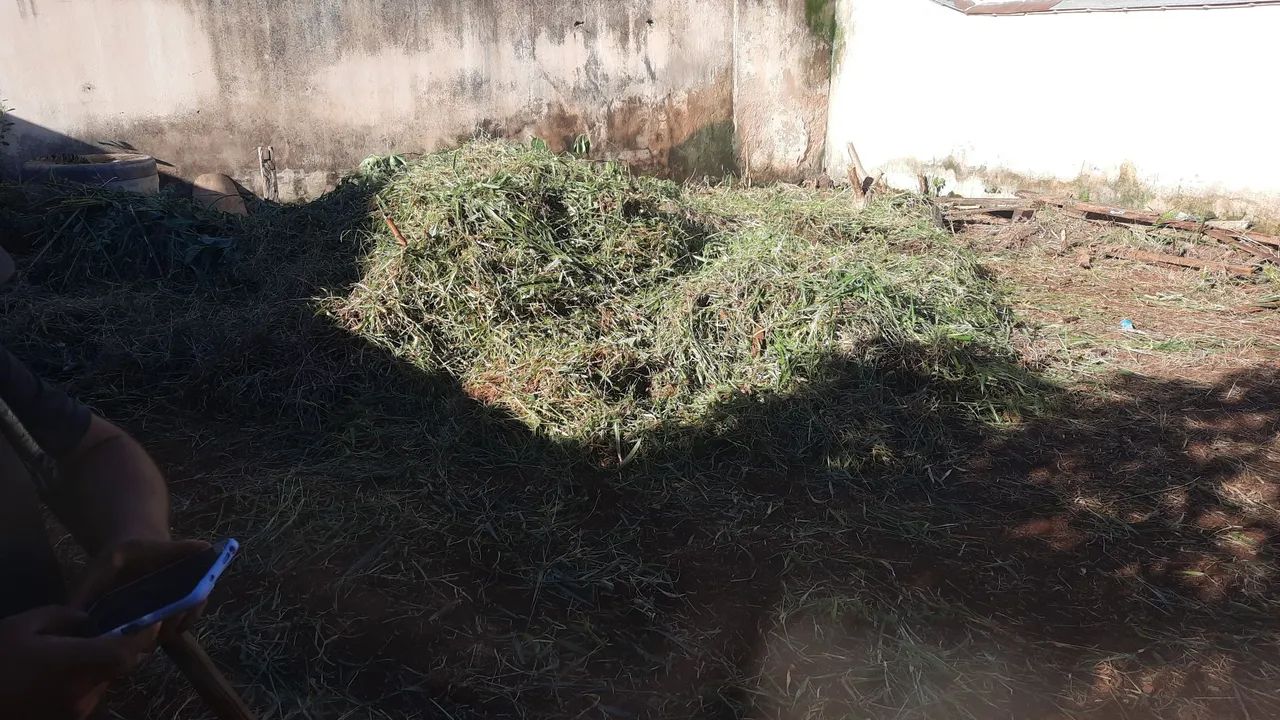 Roçagem e capinas - Foto 2