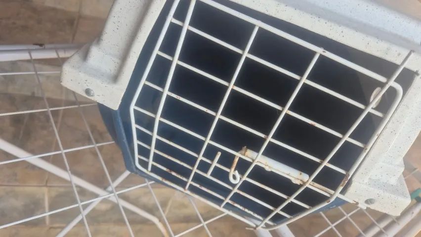 Caixa de transporte Dog Lar - Foto 3