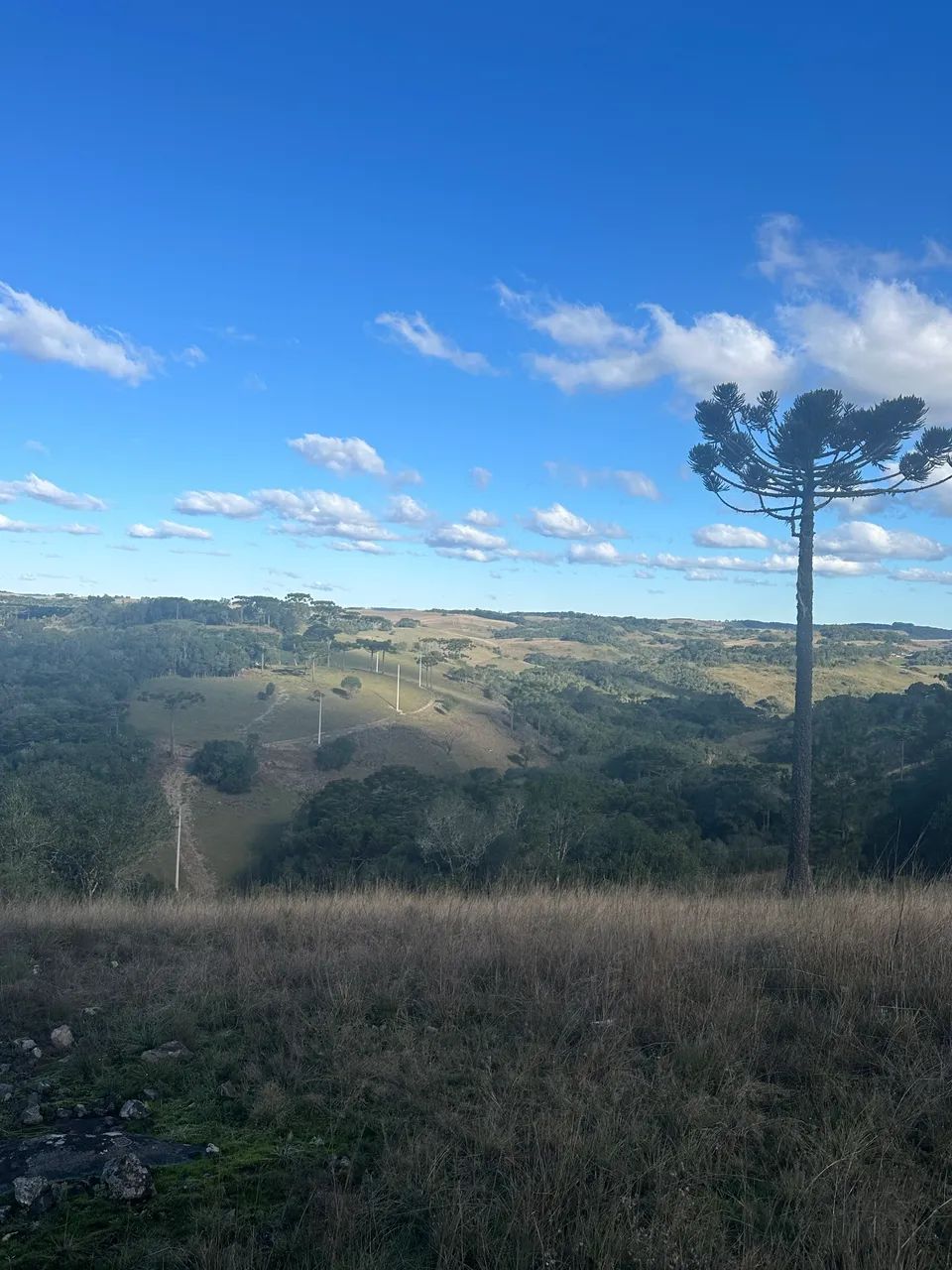 CHÁCARA 2.3 Hec  - Foto 5