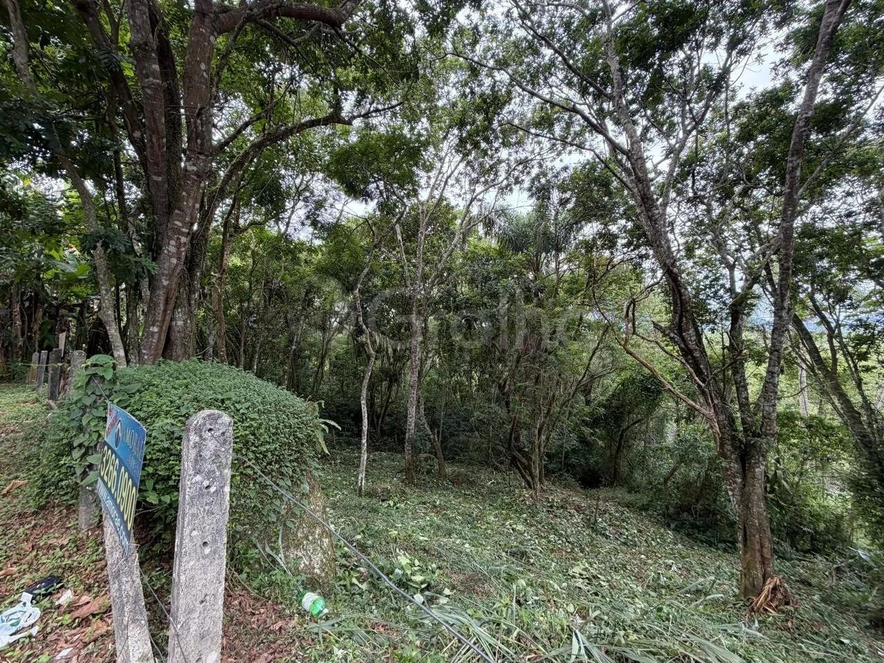 Terreno a venda 4800m² Canto Lamim proximo a Jurere. - Foto 4