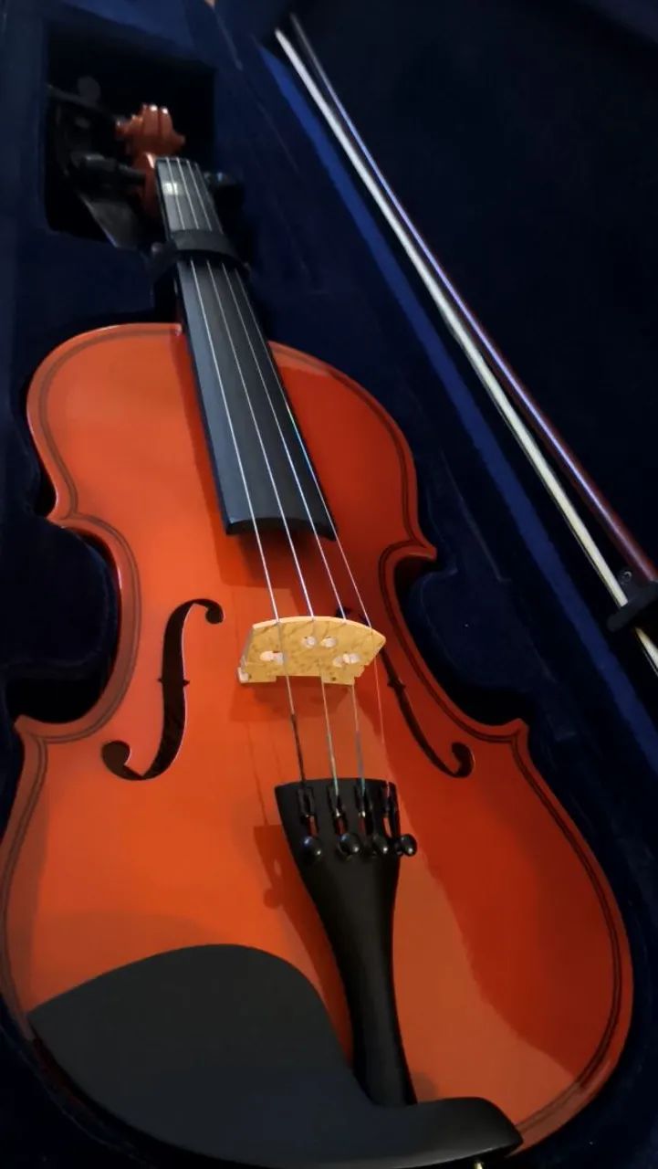 VIolino ? Zelmer