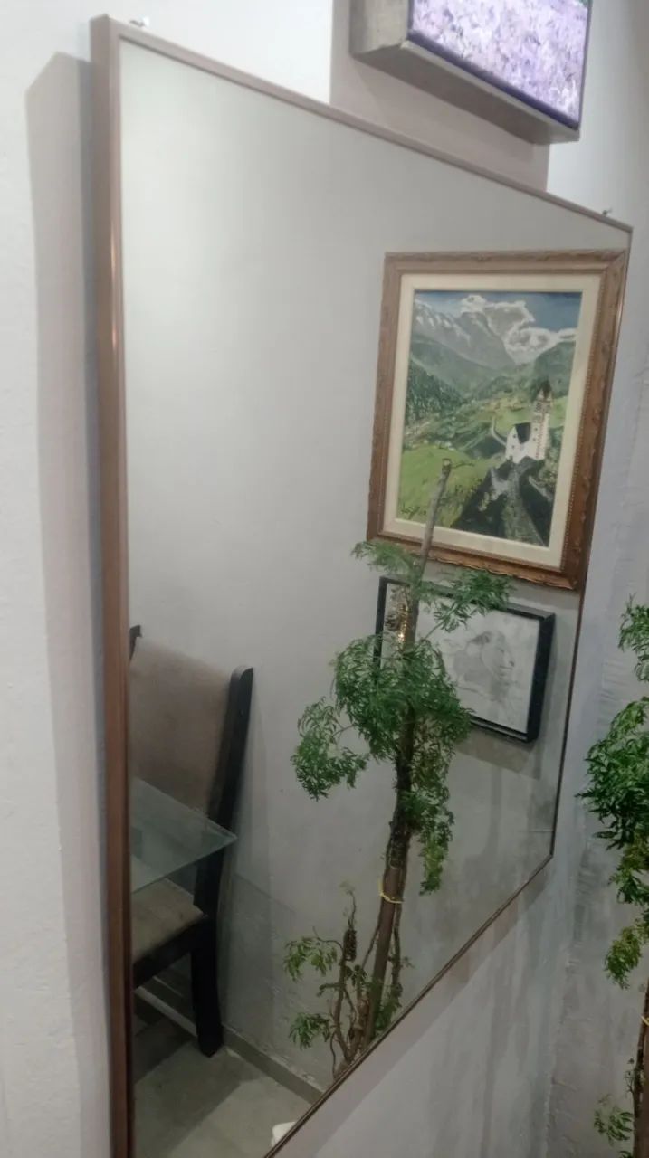 Árvore da felicidade  - Foto 2