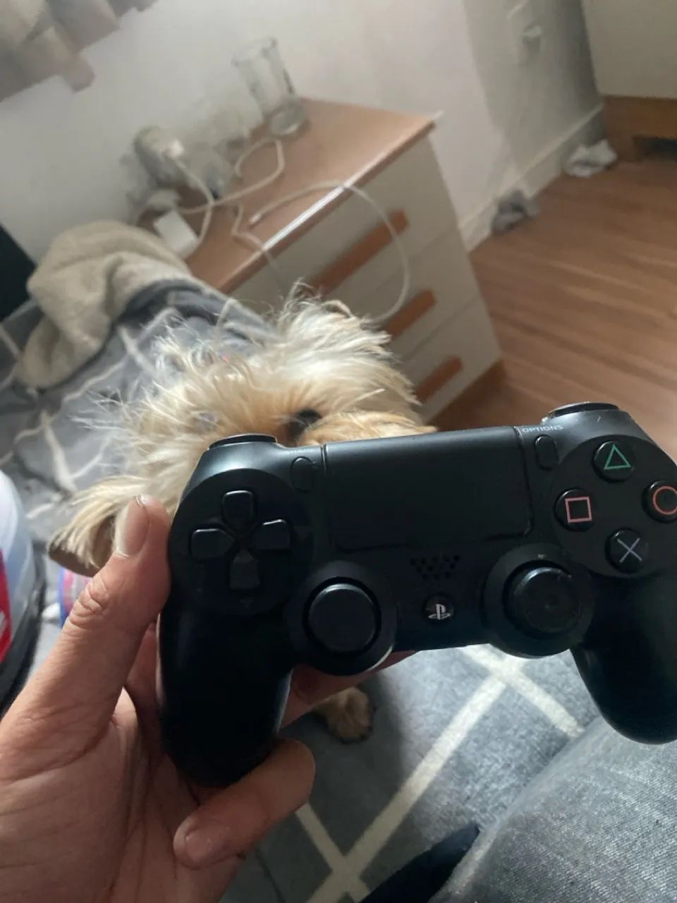 Manete ps4 ORIGINAL sem defeitos 