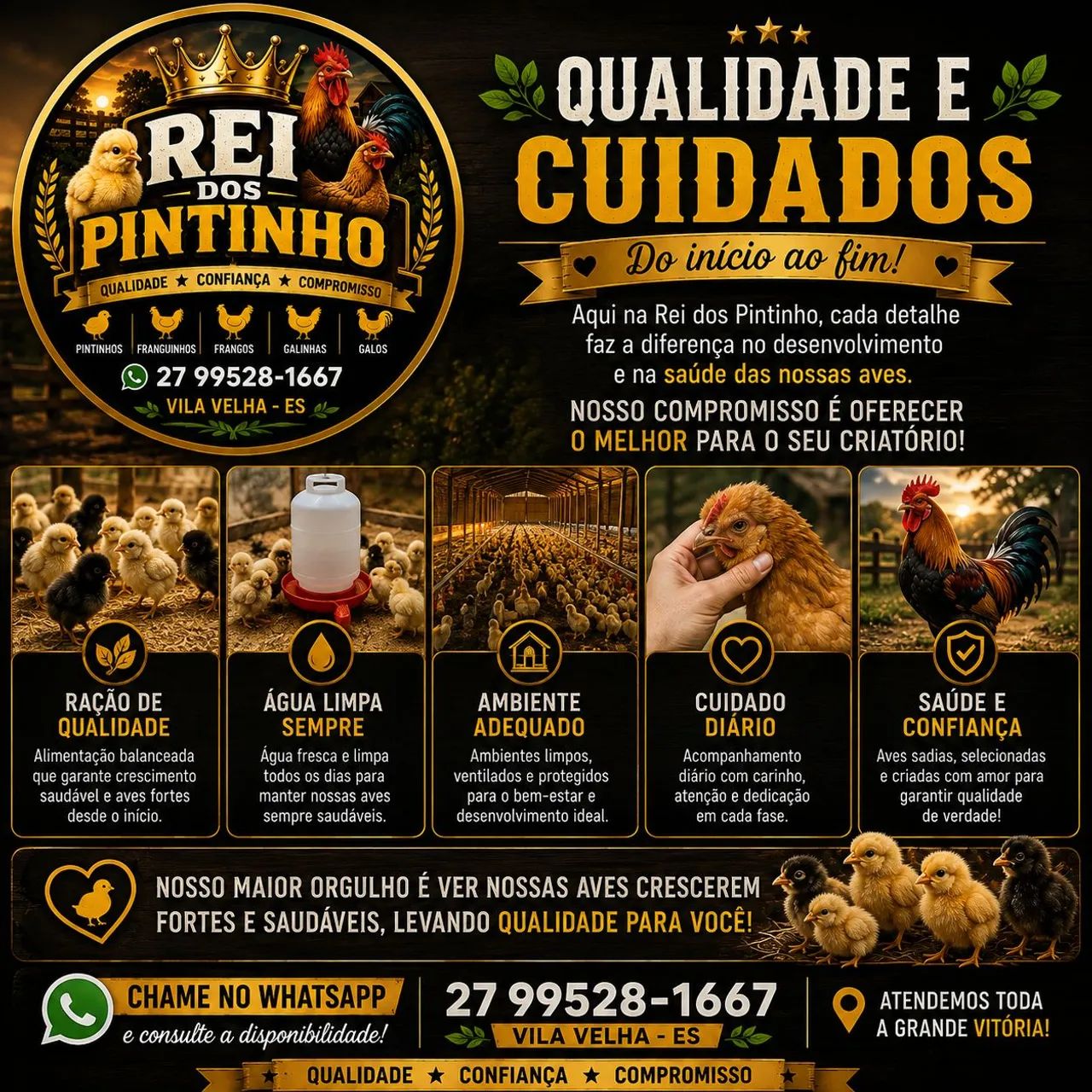 PINTINHOS, FRANGUINHOS, FRANGOS, GALINHAS E GALOS CAIPIRAS! - Foto 5