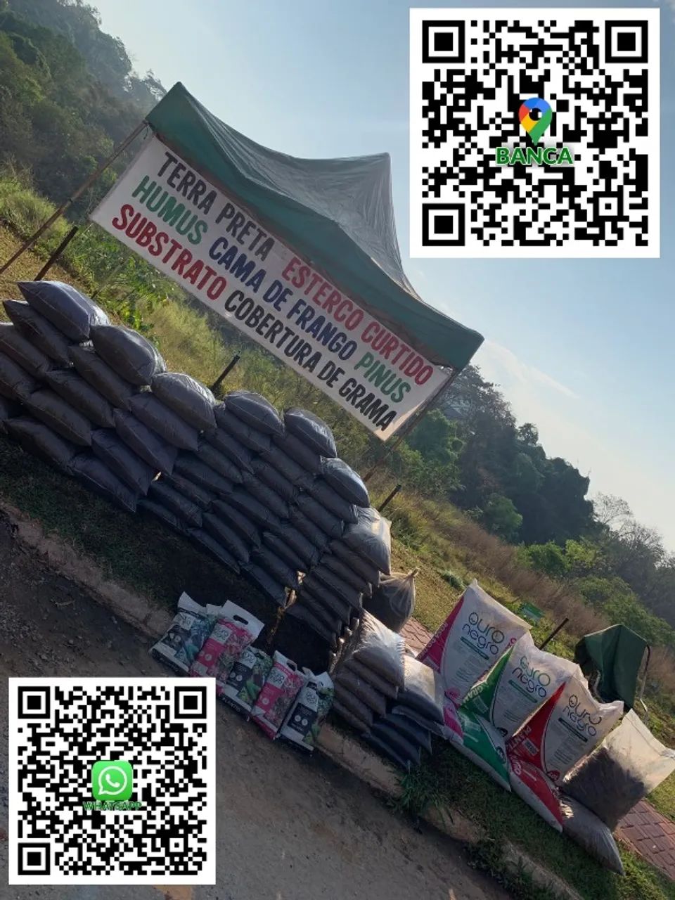 TERRA PARA GRAMA - Foto 2