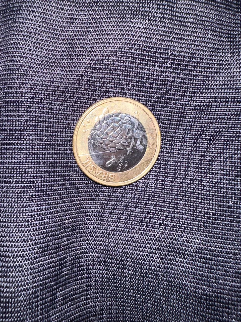 Moeda colecionadora 