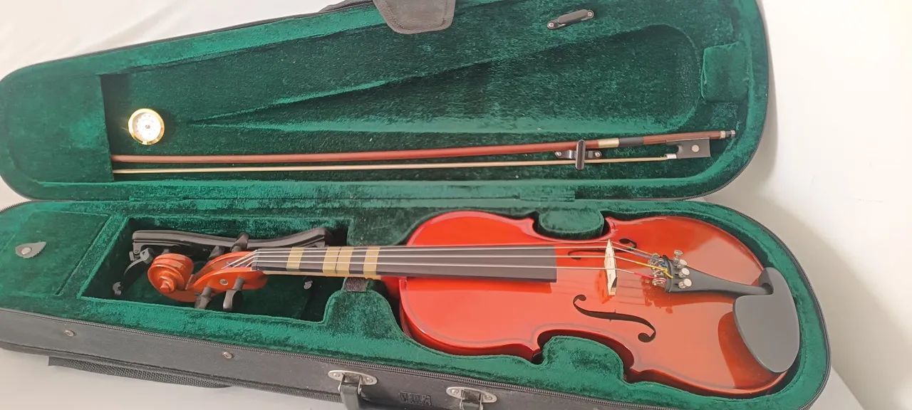 Violino 4x4 - Foto 3
