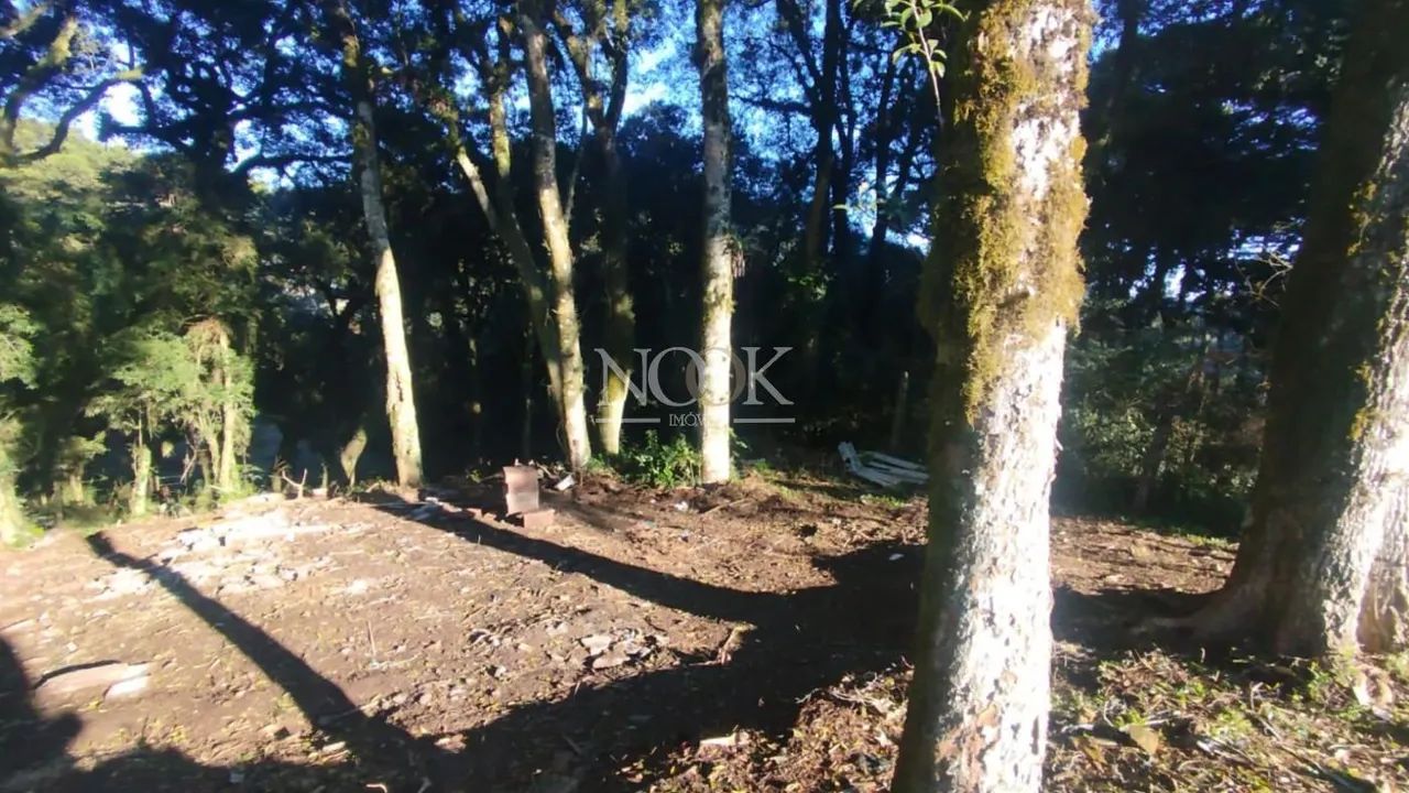 Terreno em Canela - Foto 5