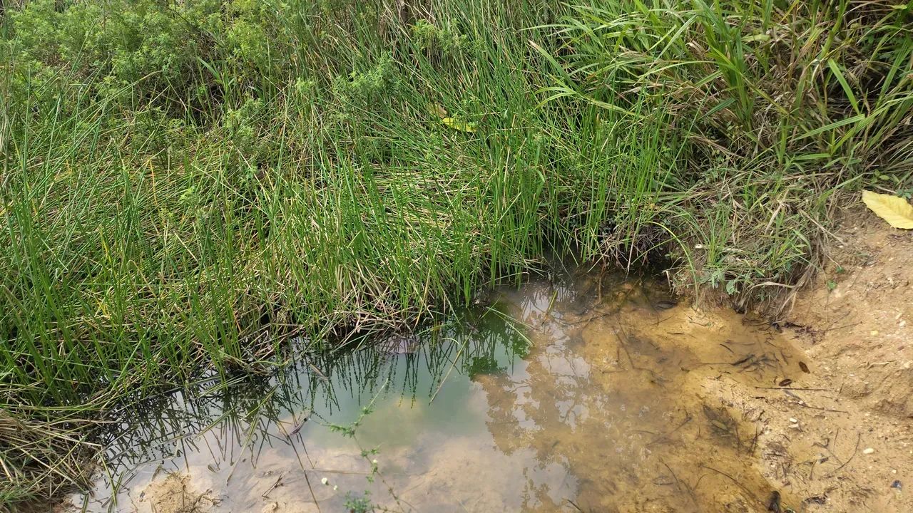 fazenda Santa Luzia Br 101 - Foto 4