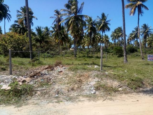 Terreno no Mosqueiro - Foto 4
