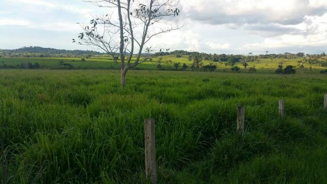 Fazenda 2085 ha Juara MT - Foto 5