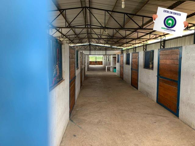 Fazenda 400 ha região de acorizal - Foto 8