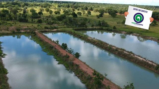 Fazenda 512 ha em livramento - Foto 5