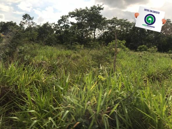 Fazenda 1400 ha na região de cáceres - Foto 4