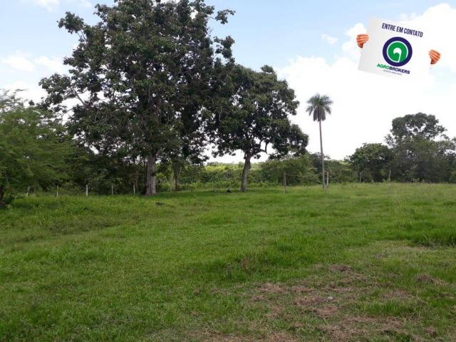 Sitio 22 ha livramento - Foto 12