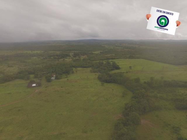 Fazenda 700 ha região do manso - Foto 11