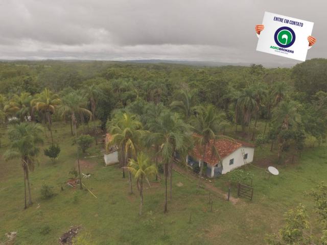 Fazenda 700 ha região do manso - Foto 3