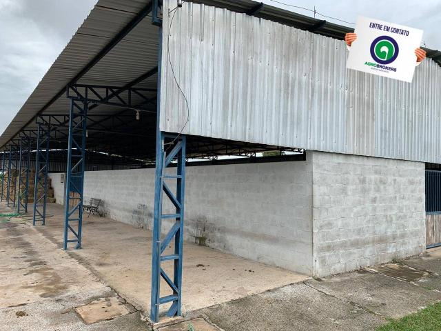 Fazenda 400 ha região de acorizal - Foto 10