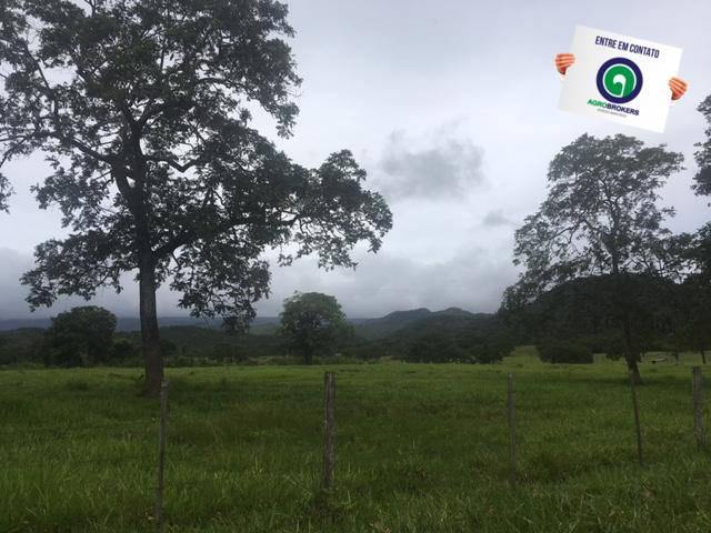 Fazenda 1000 ha região do olho d´água - Foto 11