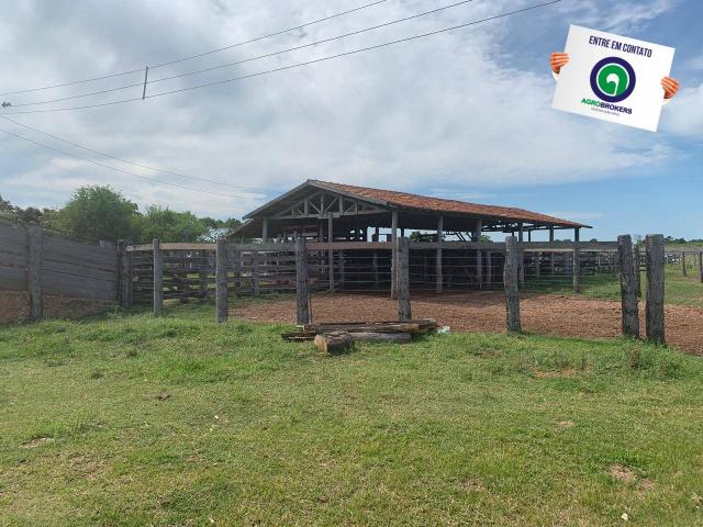 Fazenda 970 ha na beira do asfalto estrada de cáceres - Foto 14