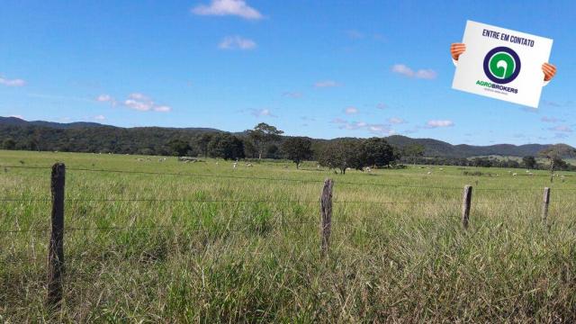 Fazenda 1.650 ha sentido caceres - Foto 9