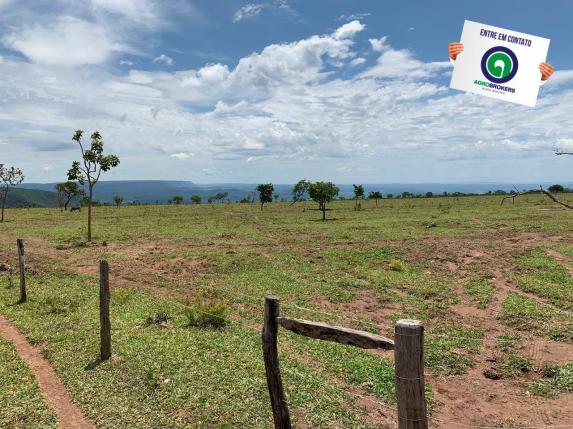 Fazenda 100 ha região de bom jardim - Foto 10