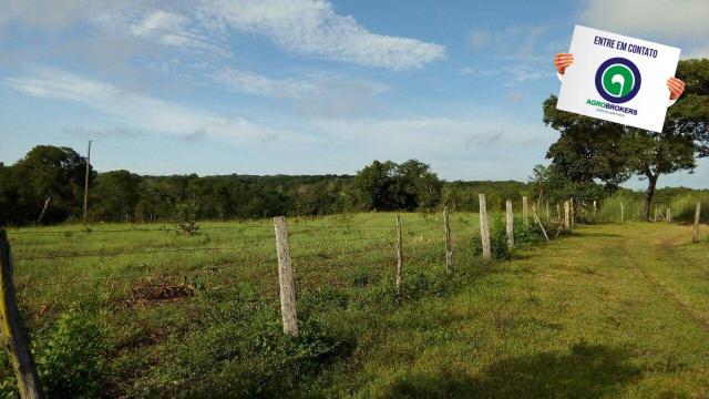 Fazenda na região livramento - Foto 3