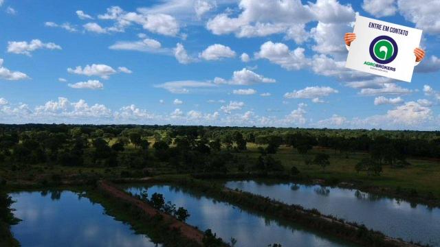 Fazenda 512 ha em livramento - Foto 10