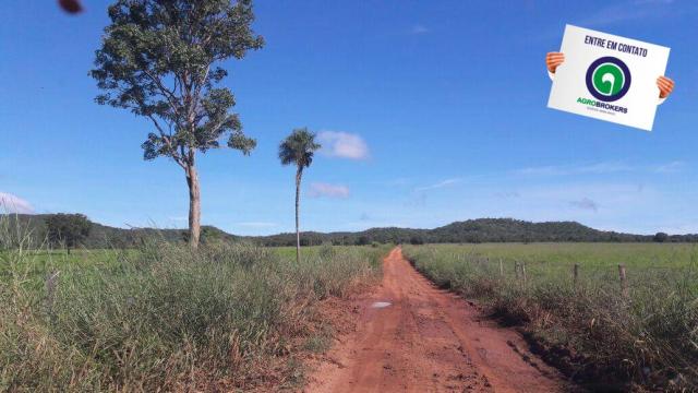 Fazenda 1.650 ha sentido caceres - Foto 14