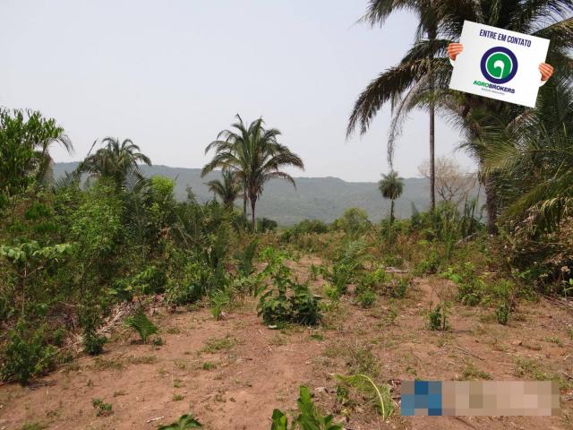 Fazenda 1.970ha - Foto 11
