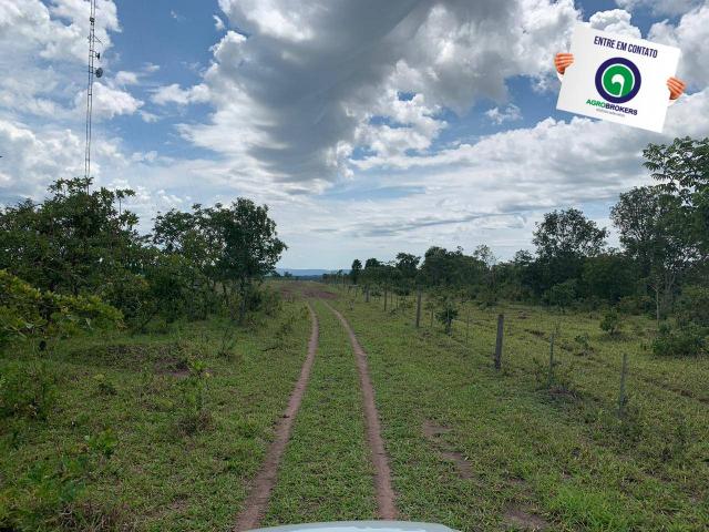 Fazenda 100 ha região de bom jardim - Foto 8