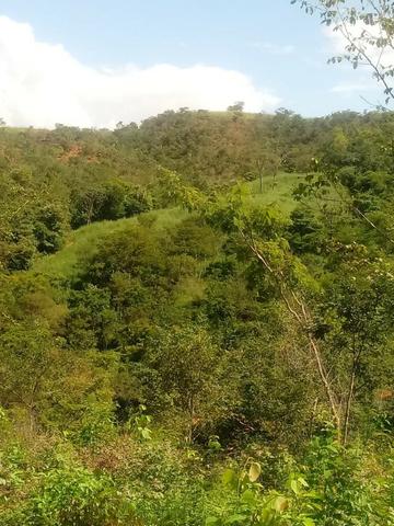 Fazenda em Unaí - MG - Foto 6