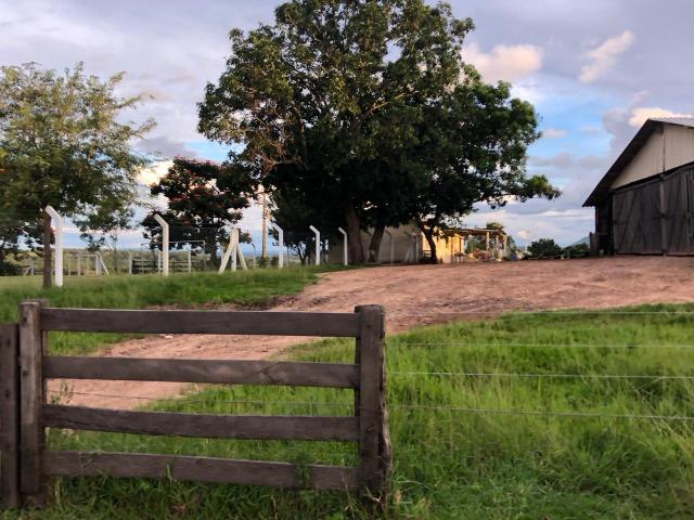 Nova Taquari MT Fazenda a 60 km da cidade com 2.480 hectares em pasto - Foto 8