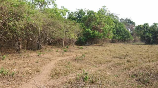 Fazenda com 13 Alq. em Palmeiras de Goiás - Foto 8