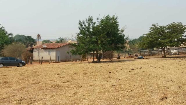 Fazenda com 13 Alq. em Palmeiras de Goiás