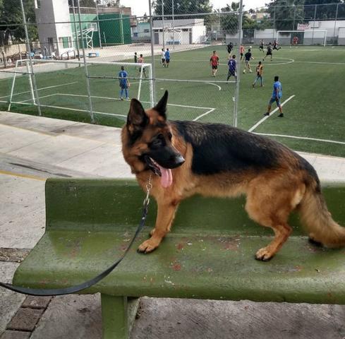 Apenas venda - Foto 6