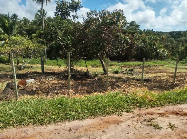 Oportunidade. Terreno 250m próximo linha verde, entre Praia do Forte e Imbassai - Foto 3