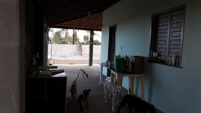 Chacara - Foto 18