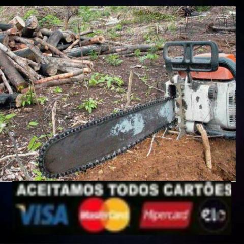 Corte de árvores *