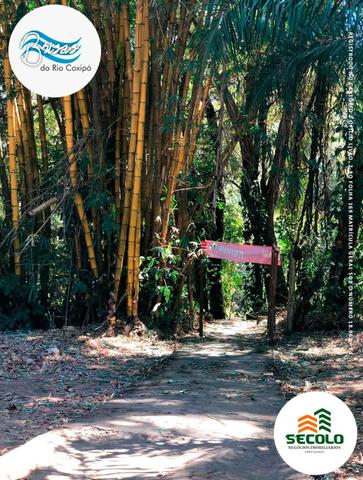 7.500 lotes campestre com acesso a rio - Foto 5