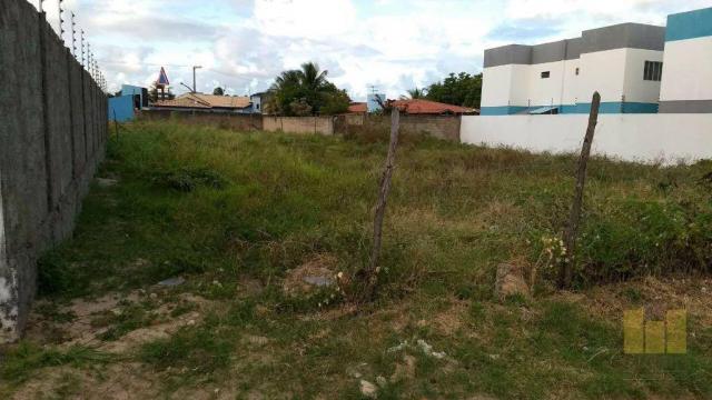 Terreno residencial à venda, loteamento recife do frances i , marechal deodoro.