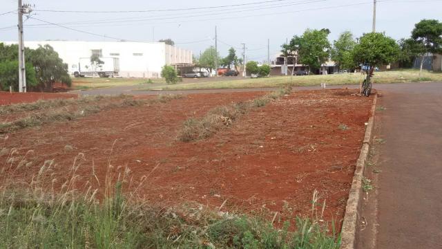 Terreno esquina 273 metros quitado Jardim América - Foto 2