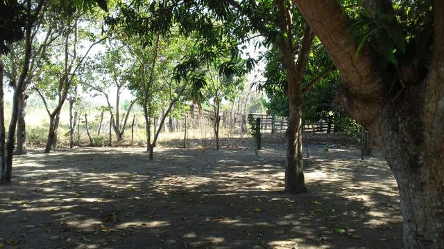 Vendo uma terra pertinho do arraia 13 alqueiro