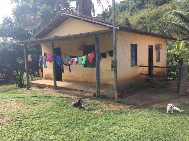 Fazenda cacau e gado - porteira fechada - Foto 9
