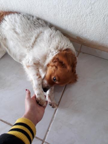 Urgente - Foto 4