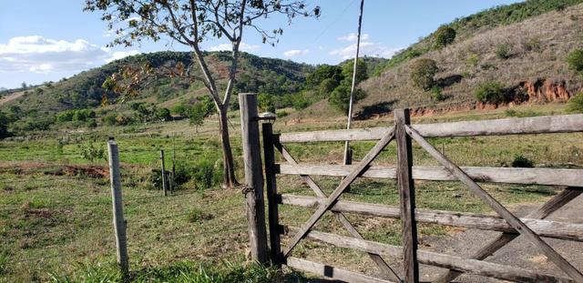 Fazenda 104 hectares , próximo de Governador Valadares MG - Foto 13