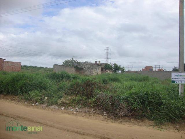 Terreno à venda, 220 m² por R$ 45.000 - Manoel Camelo - Garanhuns/PE - Foto 2