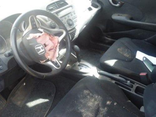 Sucata Honda New Fit EX 1.5 2010 Para Retirada de Peças